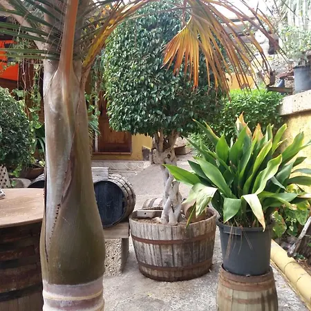 Finca Tasca Ma Lola カントリーハウス グイマー