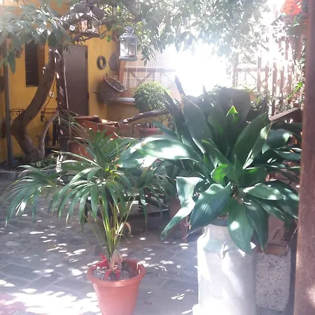 Finca Tasca Ma Lola 기마르